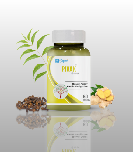1681199977-h-500-Pivak (1).png
